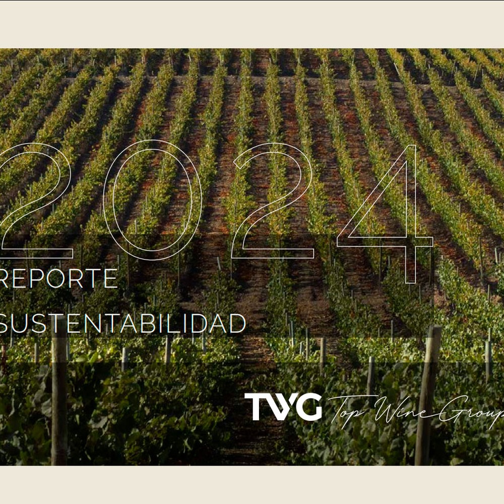 Top Wine Group